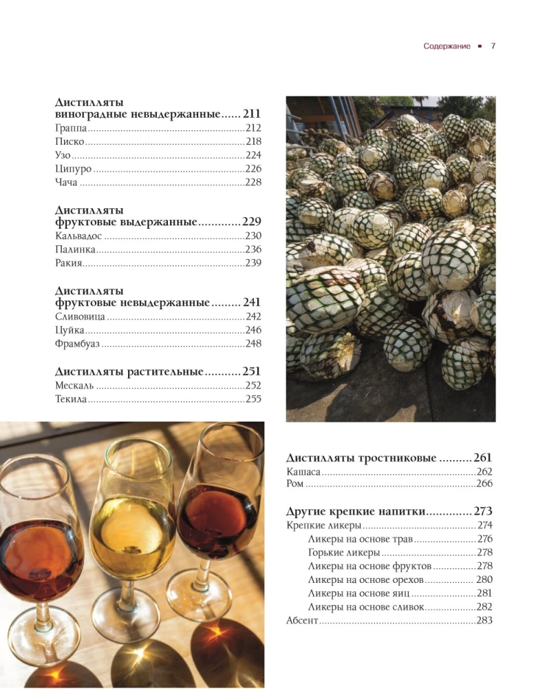 Alcohol with a Masculine Character: A Complete Guide to the World of Strong Drinks