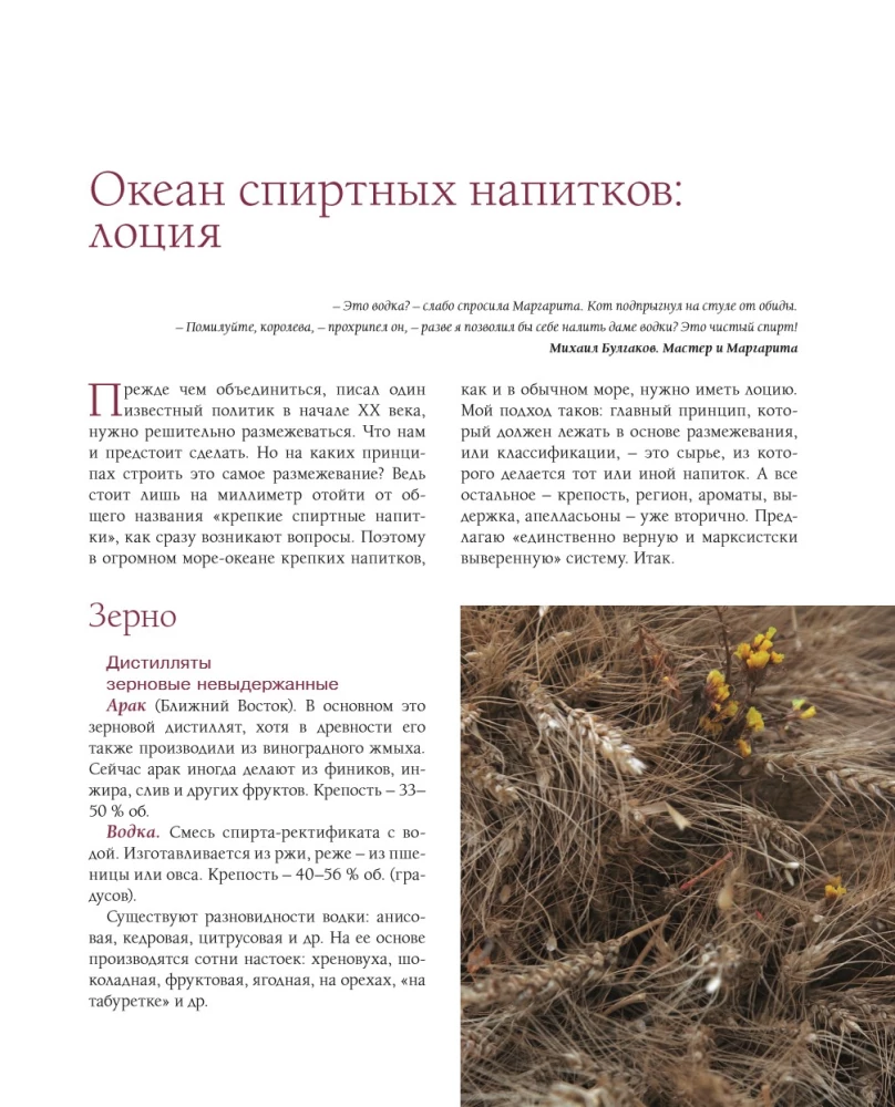 Alcohol with a Masculine Character: A Complete Guide to the World of Strong Drinks