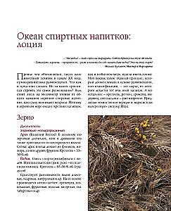 Alcohol with a Masculine Character: A Complete Guide to the World of Strong Drinks