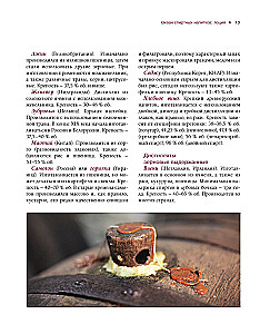 Alcohol with a Masculine Character: A Complete Guide to the World of Strong Drinks