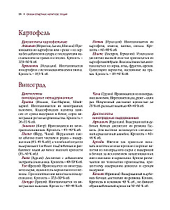 Alcohol with a Masculine Character: A Complete Guide to the World of Strong Drinks