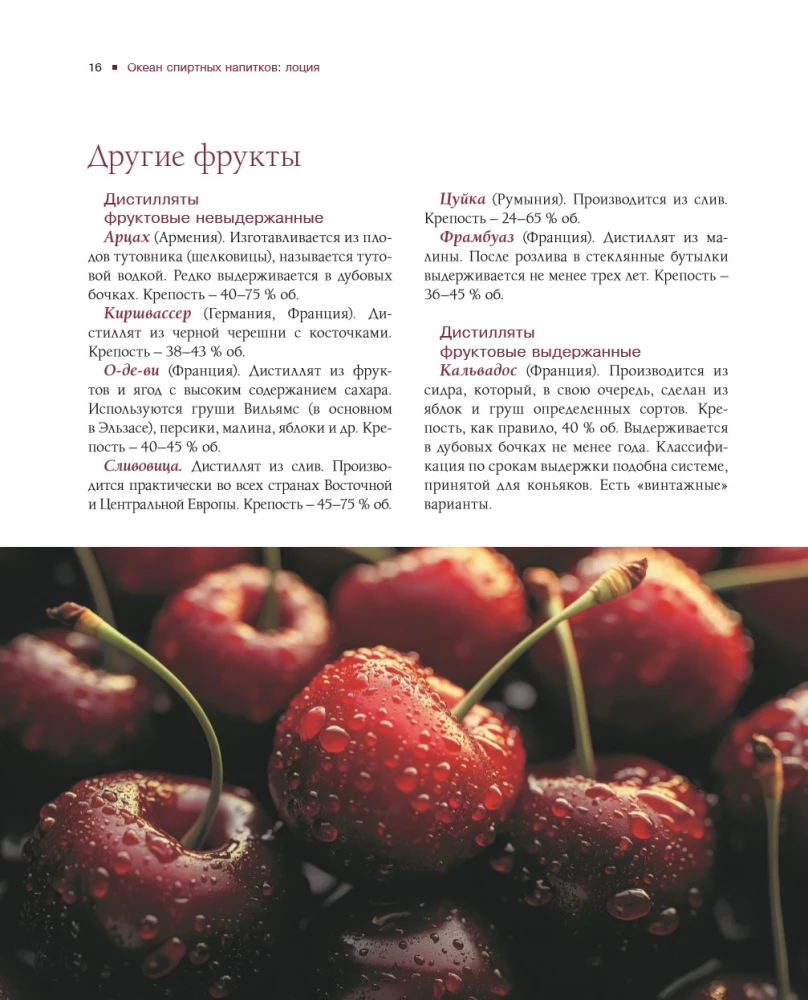 Alcohol with a Masculine Character: A Complete Guide to the World of Strong Drinks