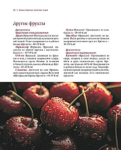 Alcohol with a Masculine Character: A Complete Guide to the World of Strong Drinks