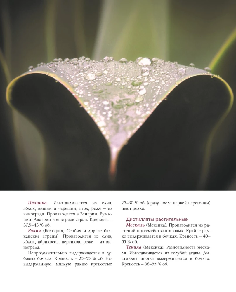 Alcohol with a Masculine Character: A Complete Guide to the World of Strong Drinks