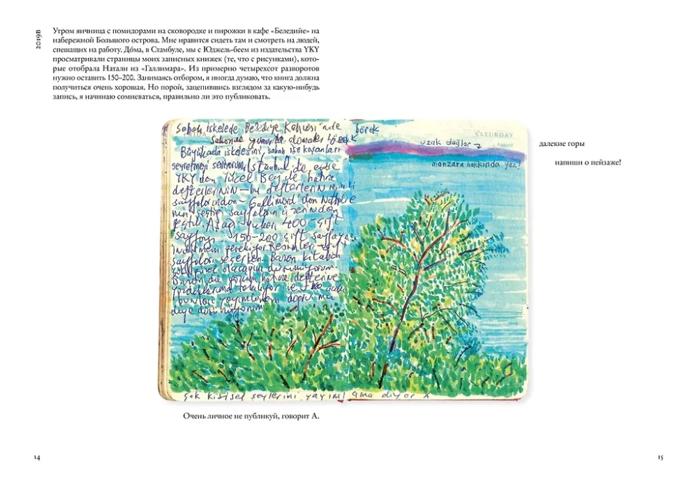 Distant Mountains and Memories