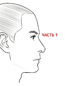 Webtoon zeichnen. Ein einfacher Weg, die Anatomie zu lernen