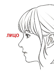 Webtoon zeichnen. Ein einfacher Weg, die Anatomie zu lernen