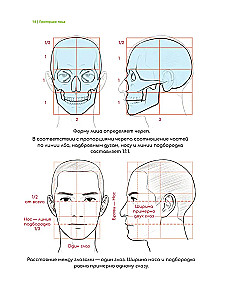 Webtoon zeichnen. Ein einfacher Weg, die Anatomie zu lernen