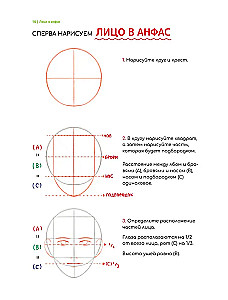 Webtoon zeichnen. Ein einfacher Weg, die Anatomie zu lernen