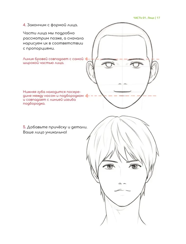 Webtoon zeichnen. Ein einfacher Weg, die Anatomie zu lernen