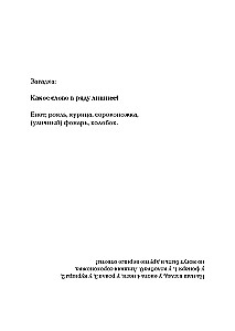 Raccoon in the Museum