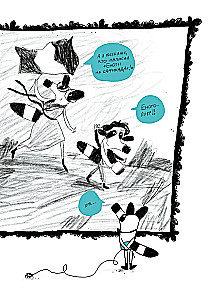 Raccoon in the Museum