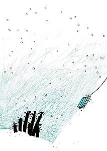 Raccoon in the Museum