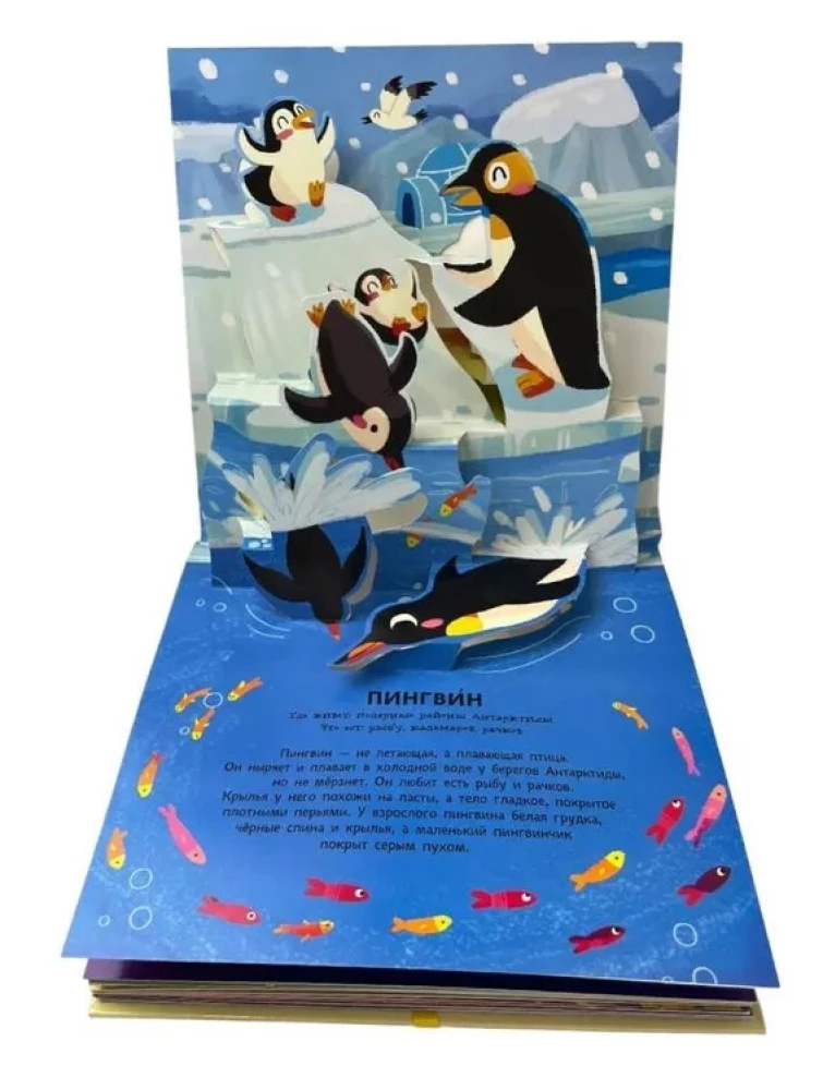 Animals. Pop-up panorama with large letters