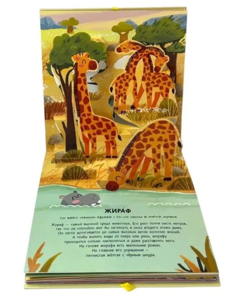 Animals. Pop-up panorama with large letters