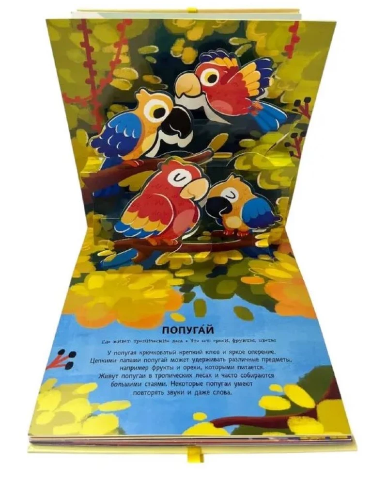 Animals. Pop-up panorama with large letters