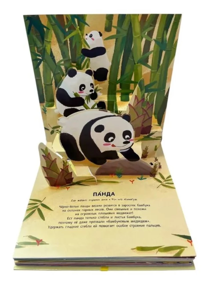 Animals. Pop-up panorama with large letters