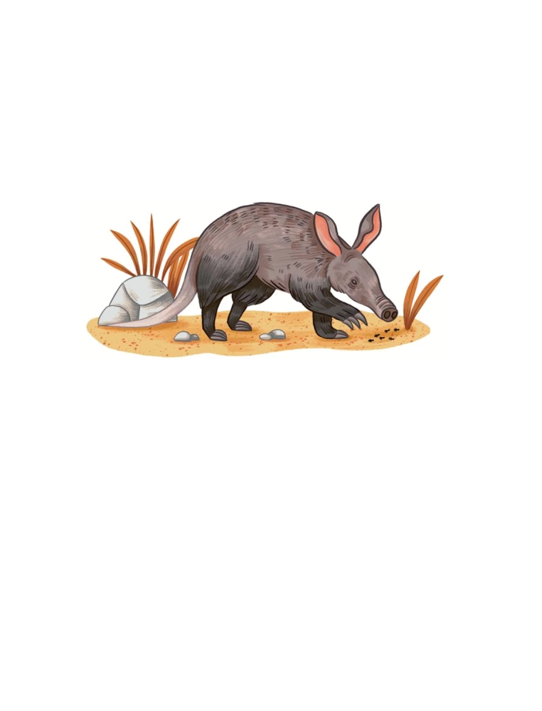 Animals Every Day. Great Encyclopedia