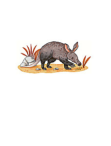 Animals Every Day. Great Encyclopedia