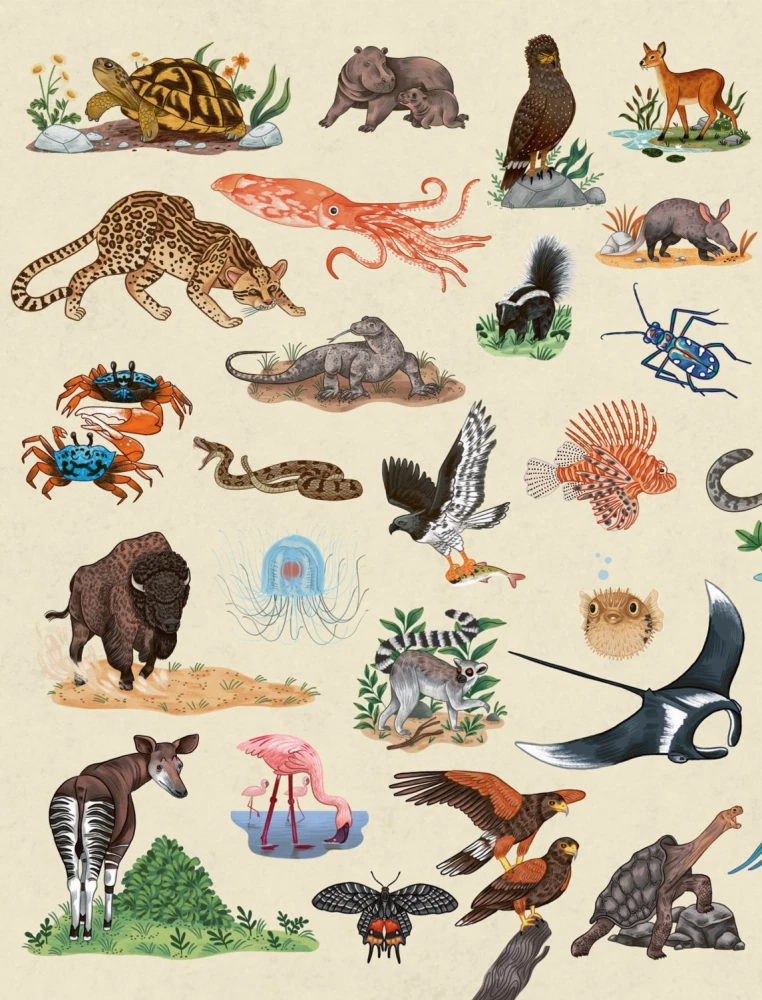 Animals Every Day. Great Encyclopedia