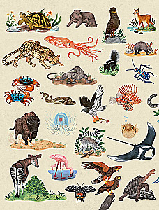 Animals Every Day. Great Encyclopedia