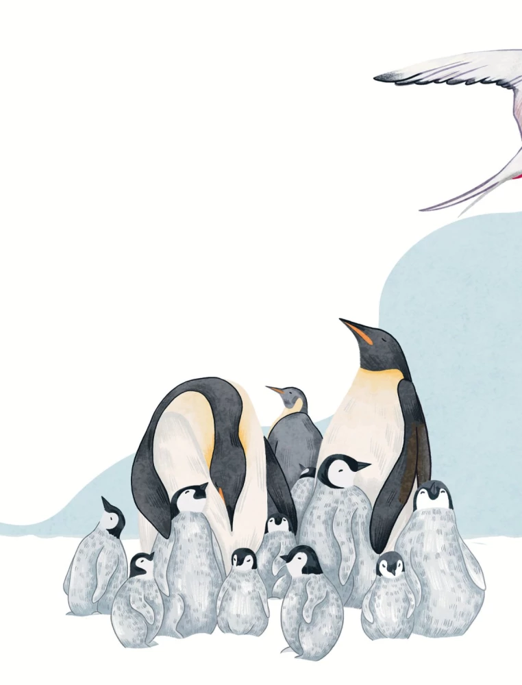 Animals Every Day. Great Encyclopedia