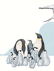 Animals Every Day. Great Encyclopedia