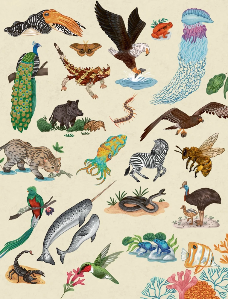 Animals Every Day. Great Encyclopedia