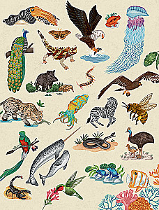 Animals Every Day. Great Encyclopedia