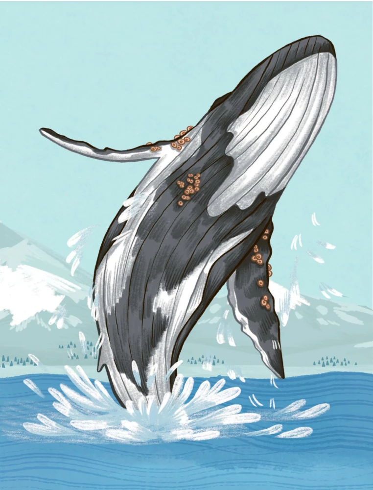 Animals Every Day. Great Encyclopedia