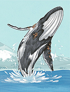 Animals Every Day. Great Encyclopedia