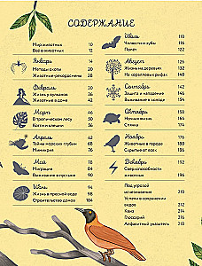 Animals Every Day. Great Encyclopedia