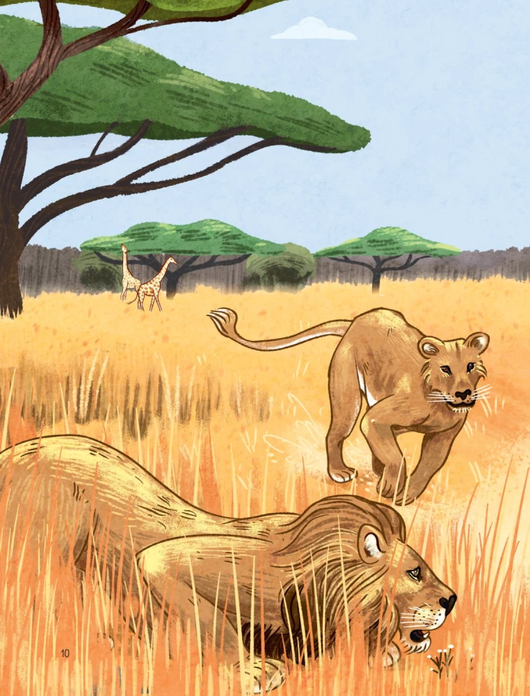 Animals Every Day. Great Encyclopedia