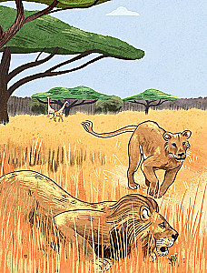 Animals Every Day. Great Encyclopedia