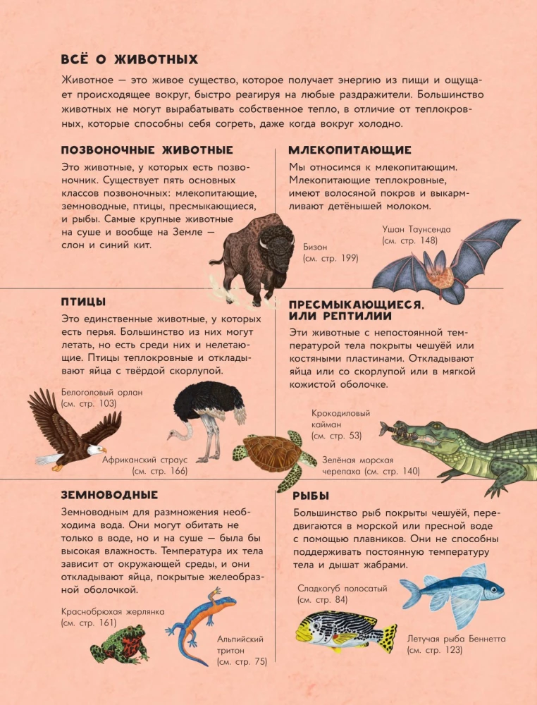 Animals Every Day. Great Encyclopedia