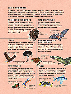 Animals Every Day. Great Encyclopedia