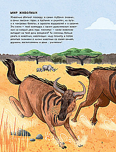 Animals Every Day. Great Encyclopedia