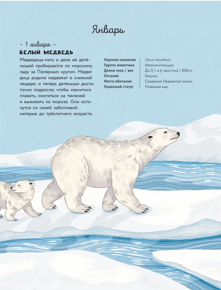 Animals Every Day. Great Encyclopedia