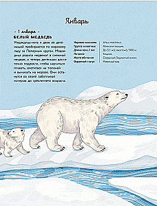 Animals Every Day. Great Encyclopedia