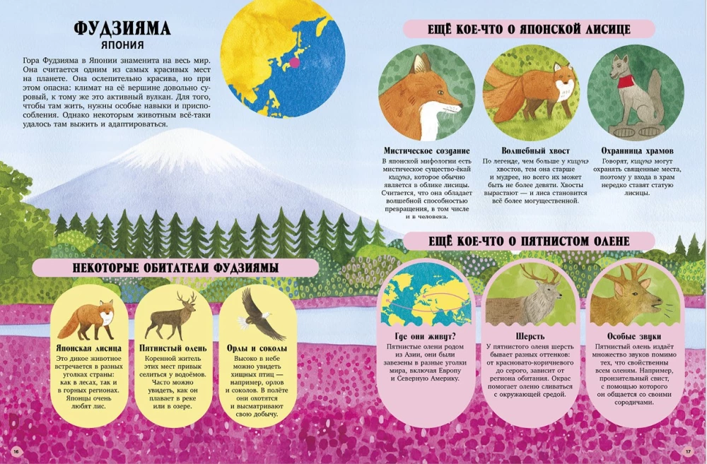 Amazing Animals and Where They Live