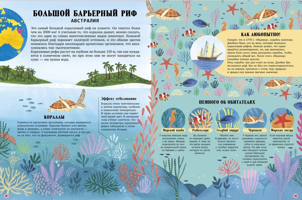 Amazing Animals and Where They Live