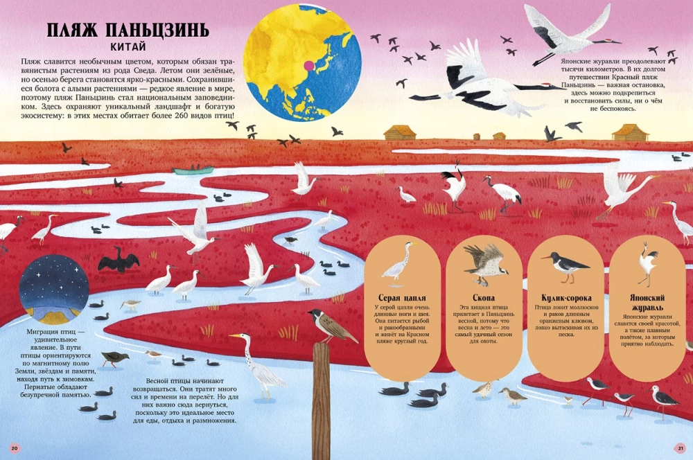 Amazing Animals and Where They Live