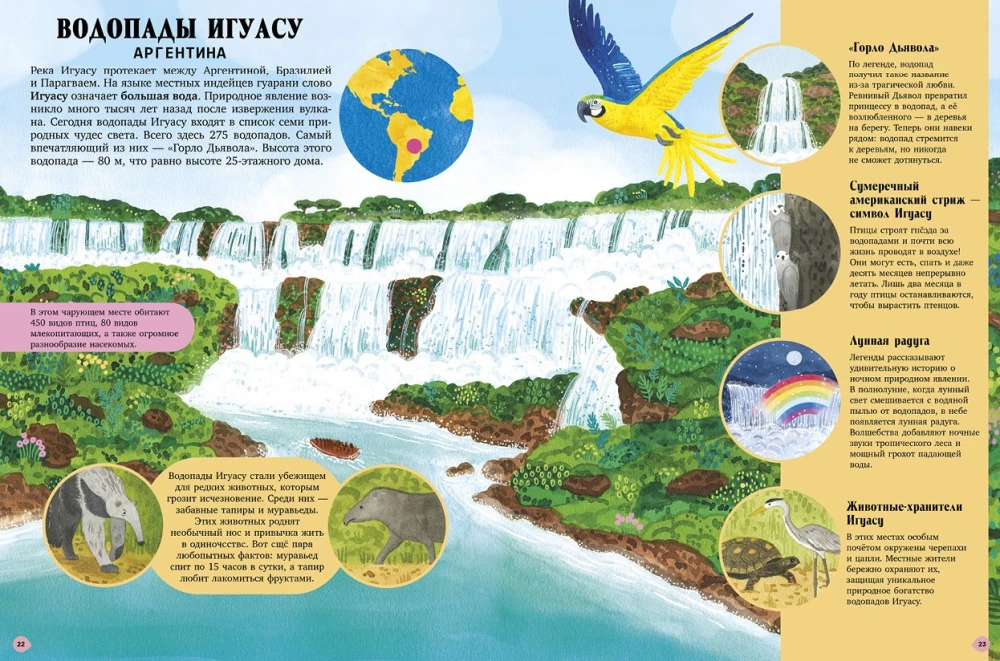 Amazing Animals and Where They Live