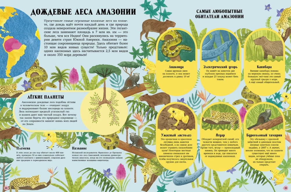 Amazing Animals and Where They Live