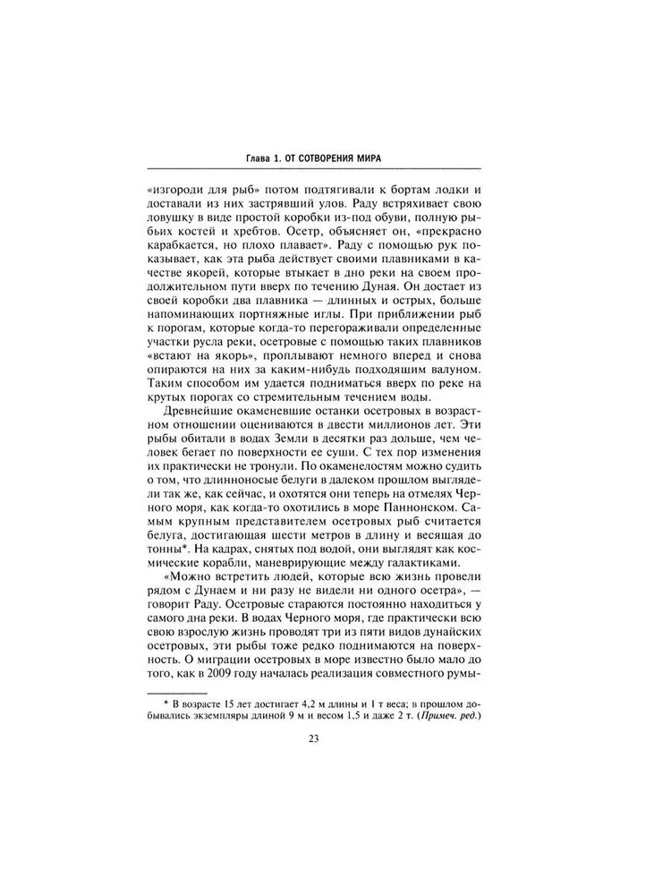 Великий Дунай на исторической карте Европы. Важная жизненная артерия и стратегическая цель крупных военных конфликтов от нашего времени до глубины веков