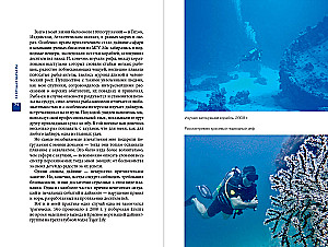 Breaking Barriers. How Sports Principles Lead to Success in Business and Life