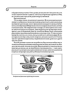 Powszechna historia sztuk
