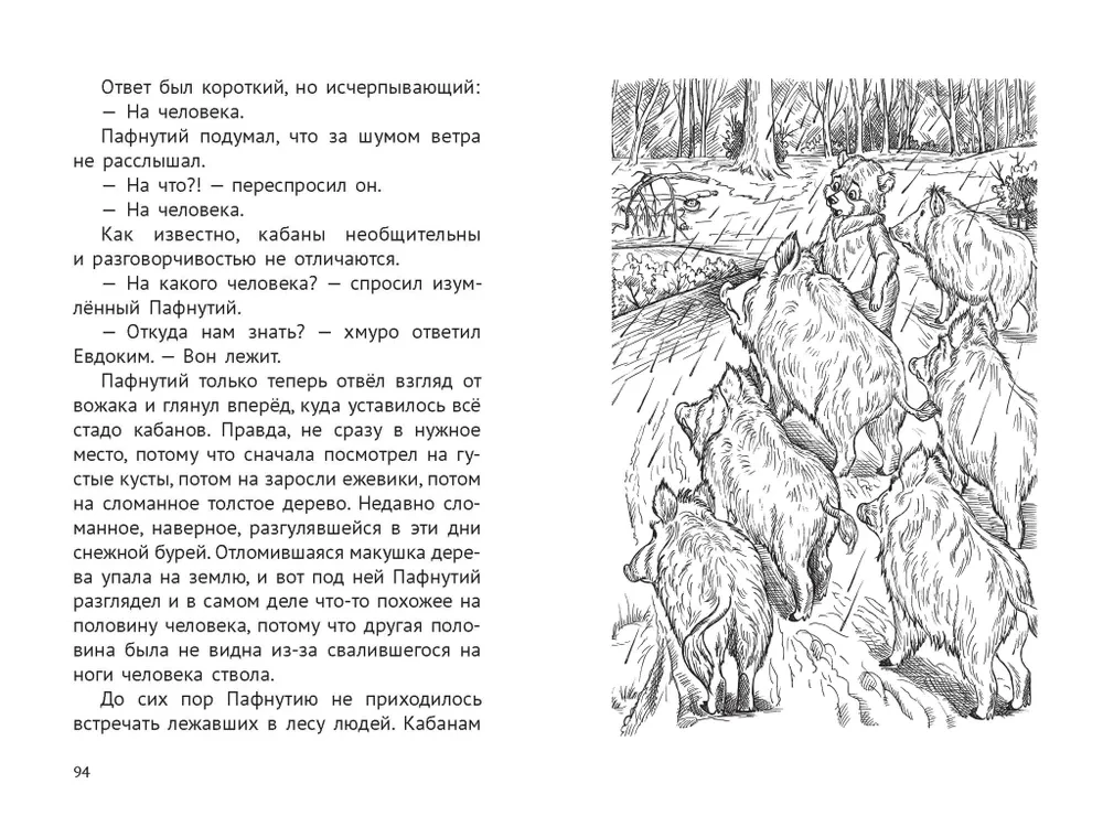 Pafnuti. Skarb w lesie