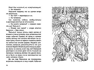 Pafnuti. Skarb w lesie