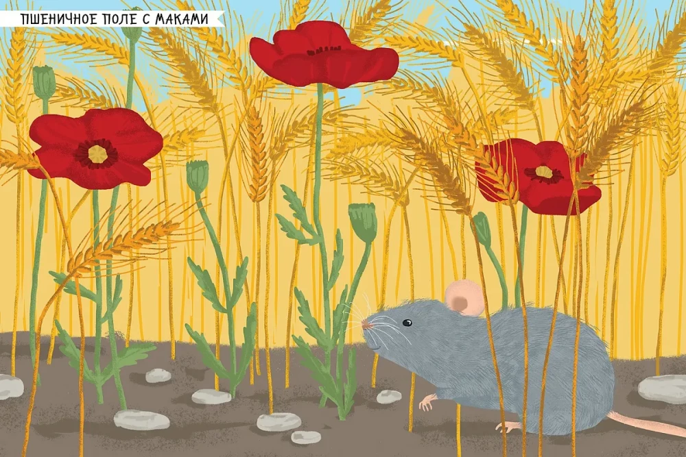 Mein Stickerbuch. Insekten